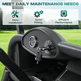 RXV golf cart ignition switch